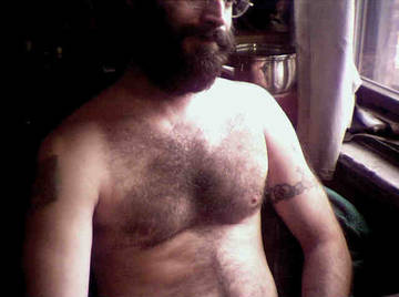 Image thumbnail of Gay bears