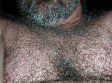 Image thumbnail of Gay bears