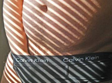 Image thumbnail of Gay bears