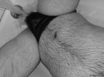 Image thumbnail of Gay bears