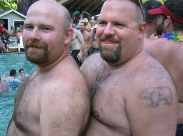 Image thumbnail of Gay bears