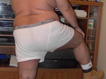 Image thumbnail of Gay bears