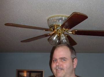 Image thumbnail of Gay bears