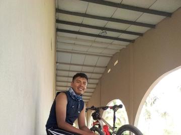 Image thumbnail of Gay bears