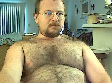 Image thumbnail of Gay bears