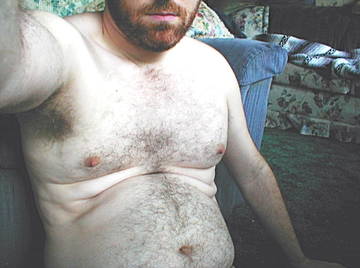 Image thumbnail of Gay bears