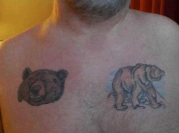 Image thumbnail of Gay bears