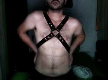 Image thumbnail of Gay bears