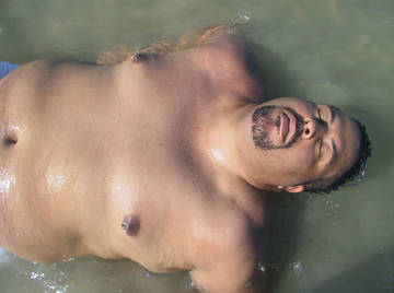 Image thumbnail of Gay bears