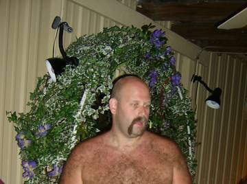 Image thumbnail of Gay bears