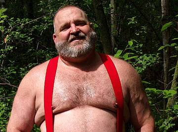 Image thumbnail of Gay bears