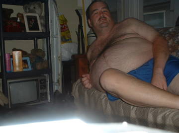 Image thumbnail of Gay bears