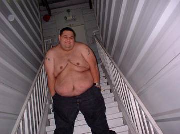 Image thumbnail of Gay bears