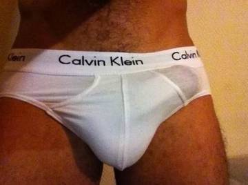 Image thumbnail of Gay bears