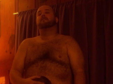 Image thumbnail of Gay bears