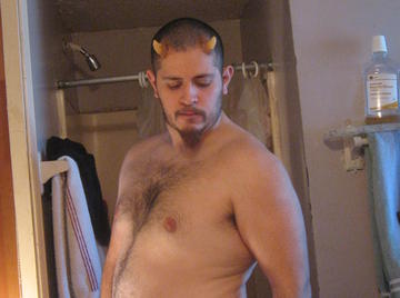 Image thumbnail of Gay bears