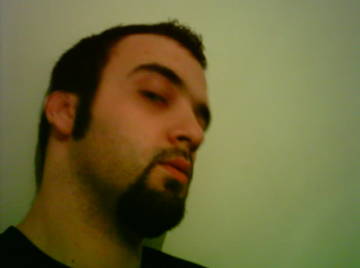 Image thumbnail of Gay bears