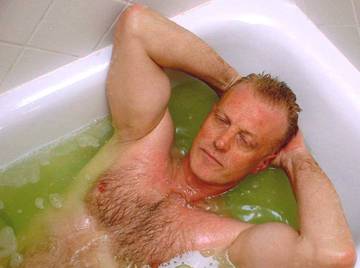 Image thumbnail of Gay bears