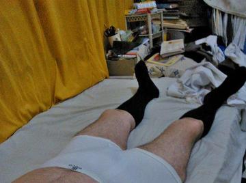 Image thumbnail of Gay bears