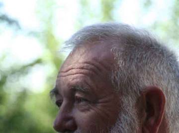 Image thumbnail of Gay bears