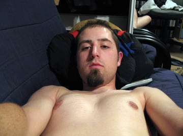 Image thumbnail of Gay bears