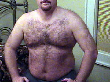 Image thumbnail of Gay bears