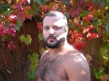 Image thumbnail of Gay bears