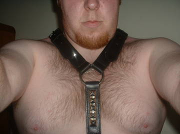 Image thumbnail of Gay bears