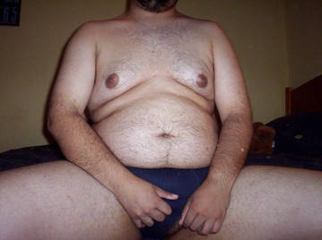 Image thumbnail of Gay bears