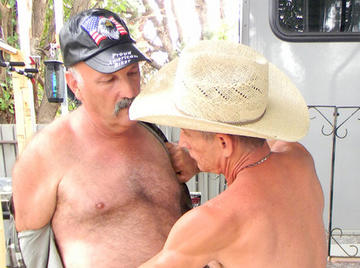 Image thumbnail of Gay bears