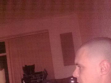 Image thumbnail of Gay bears