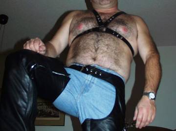 Image thumbnail of Gay bears