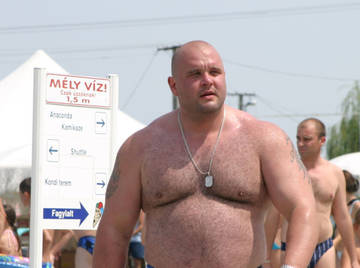 Image thumbnail of Gay bears