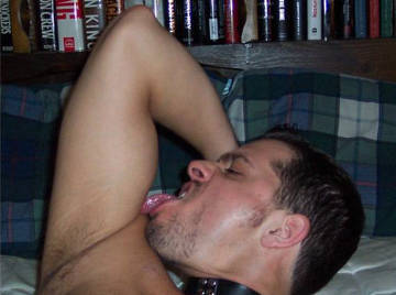 Image thumbnail of Gay bears