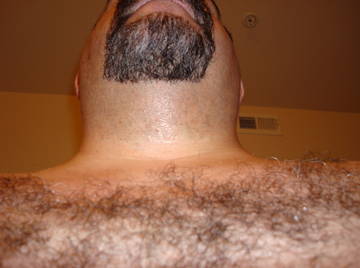 Image thumbnail of Gay bears