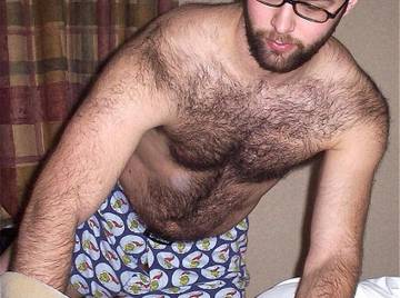 Image thumbnail of Gay bears