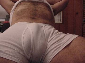 Image thumbnail of Gay bears