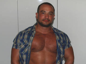 Image thumbnail of Gay bears