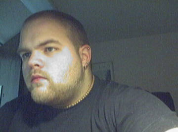 Image thumbnail of Gay bears