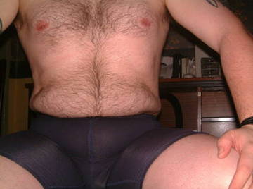 Image thumbnail of Gay bears