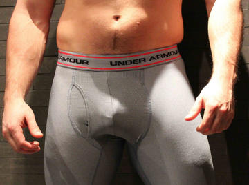 Image thumbnail of Gay bears