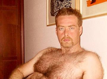 Image thumbnail of Gay bears