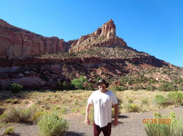 Image thumbnail of Gay bears