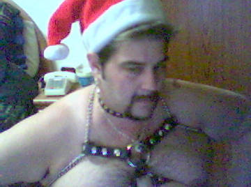 Image thumbnail of Gay bears