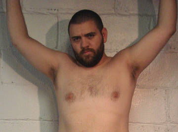 Image thumbnail of Gay bears