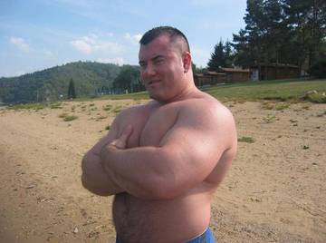 Image thumbnail of Gay bears