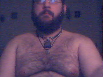 Image thumbnail of Gay bears