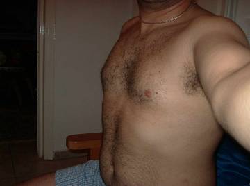 Image thumbnail of Gay bears