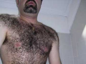 Image thumbnail of Gay bears