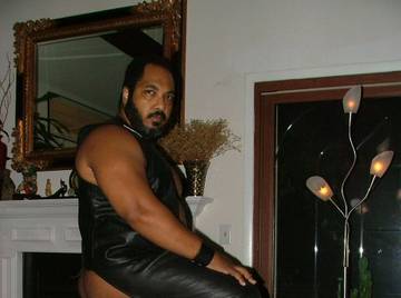 Image thumbnail of Gay bears